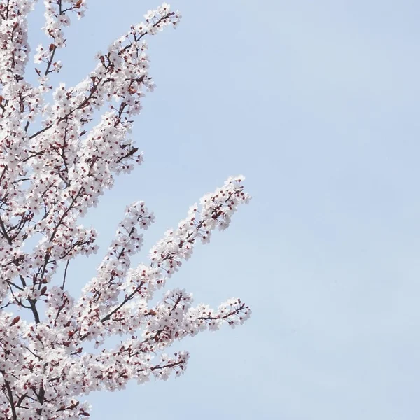 电竞博彩捕鱼游戏